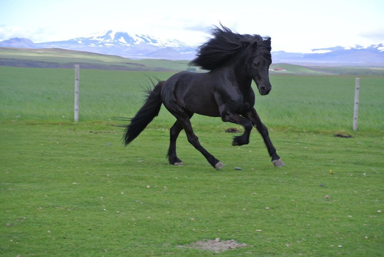 Hekla Adventures Villa Hvolsvollur Luaran gambar