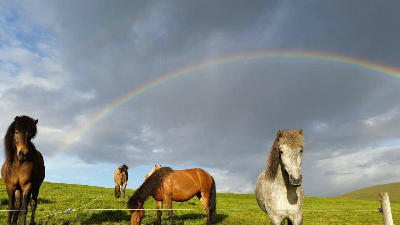 Hekla Adventures Villa Hvolsvollur Luaran gambar